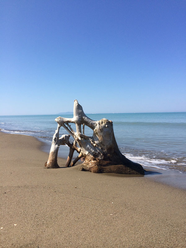 parco-maremma